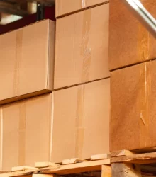 sf-trasporti-srls-JHMGEWC